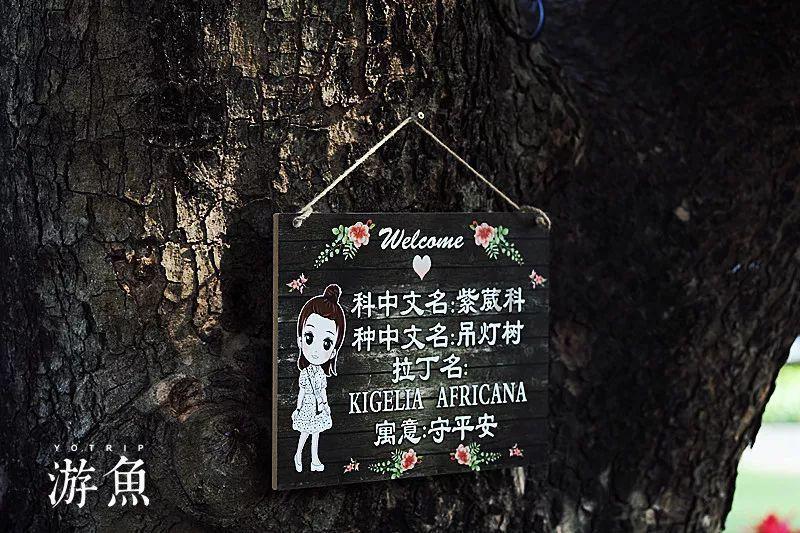 球球大作战下载最新版